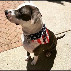 Meet your Posher, Rey